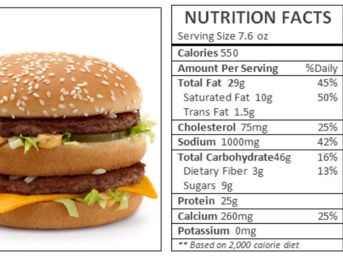 Big mac nutrition facts