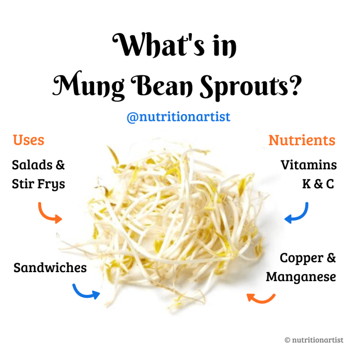 Bean sprouts nutrition facts