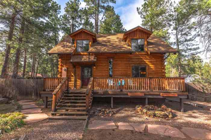 Flagstaff cabin arizona friendly pet cabins basecamp log rentals rental